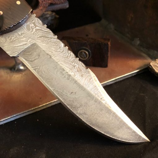T-Rex (Damascus) MK-M767  -  <p><font size="7"><font color="#FF0000">Just SOLD</FONT></p> - Image 5